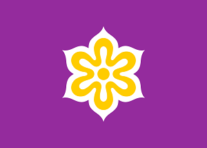 drapeau kyoto